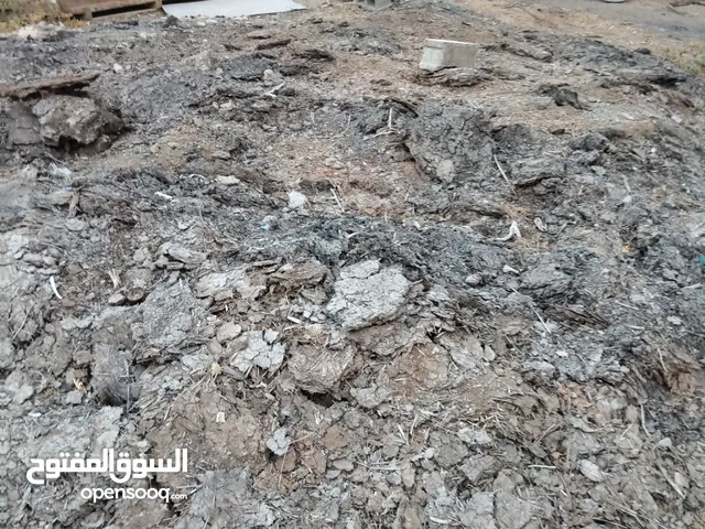 سماد بقر كميه كبيره مفي بذور مقلوع من 5_6سنوات