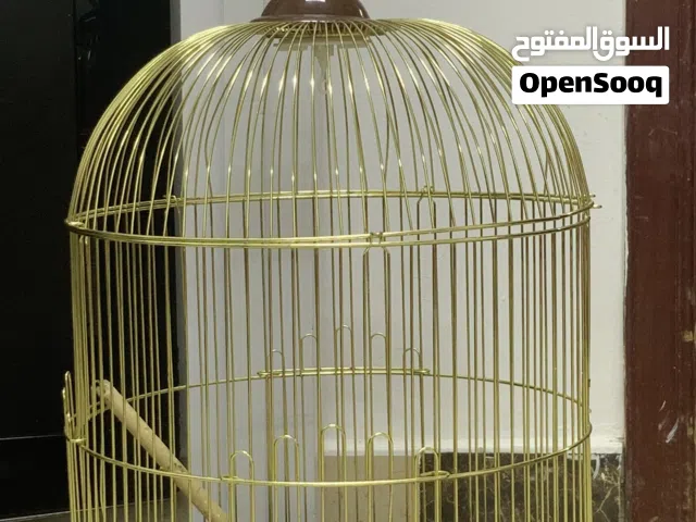 قفص عصافير السعر 50 درهم فقط