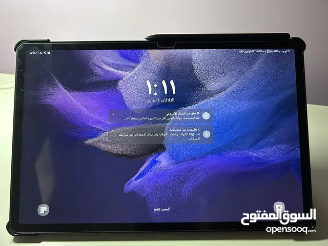Samsung Galaxy Tab S7 FE 64 GB in Muscat