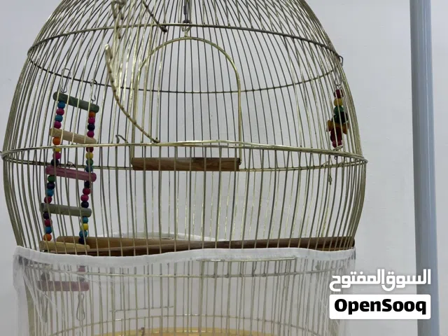 قفض جديد New Cages