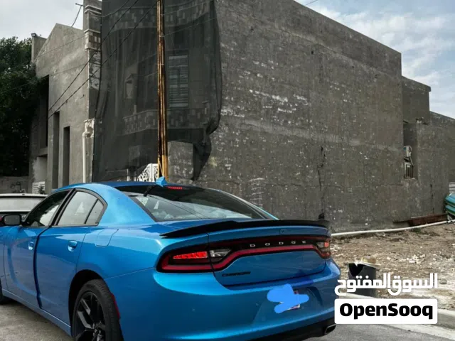 جالجر معلاية (مرمزة) اصل 2019