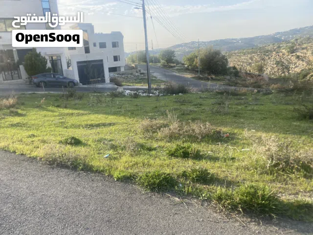 Residential Land for Sale in Amman Abu Al-Sous