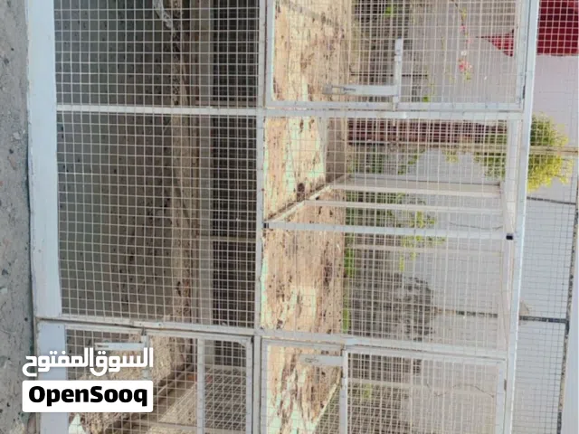 أقفاص للبيع