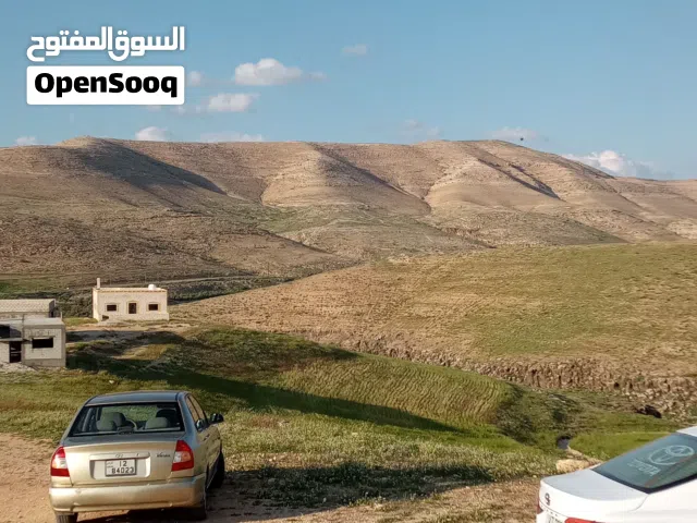 2001, هيونداي, فيرنا, Standard