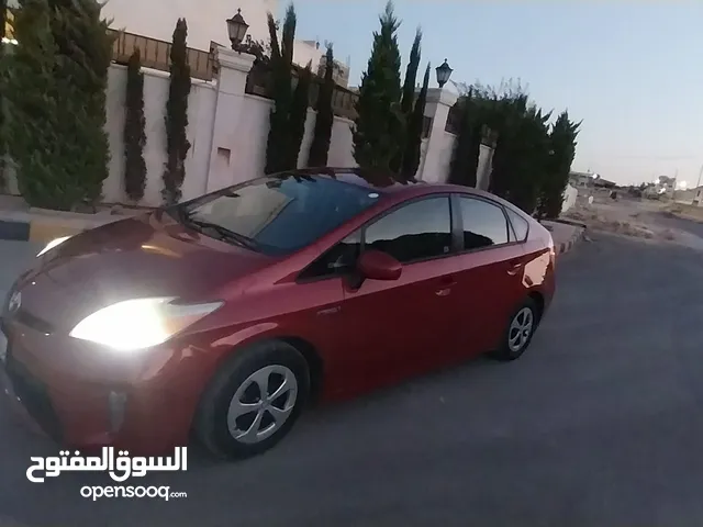 بريوس اللبيع