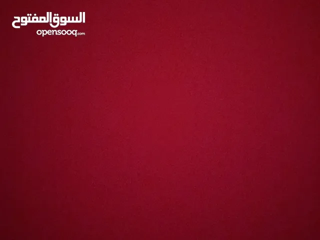 مطلوب كلب لتبني يفضل يكون جرو بيتبول او روت او بوليسي