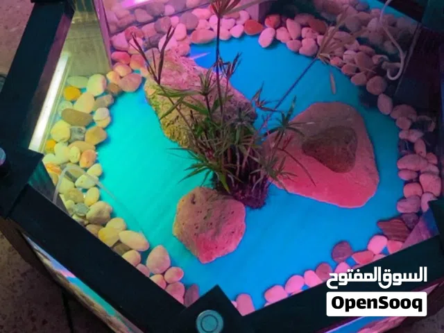 حوض ربي يبارك نضف وحط حوتك طول