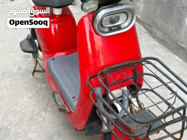 2024 إنديان أخرى