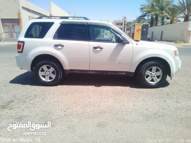 Used Ford Escape in Aqaba