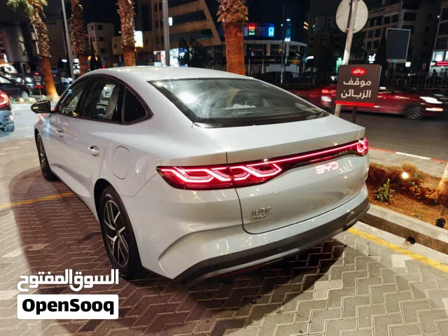 2025 بي واي دي كين