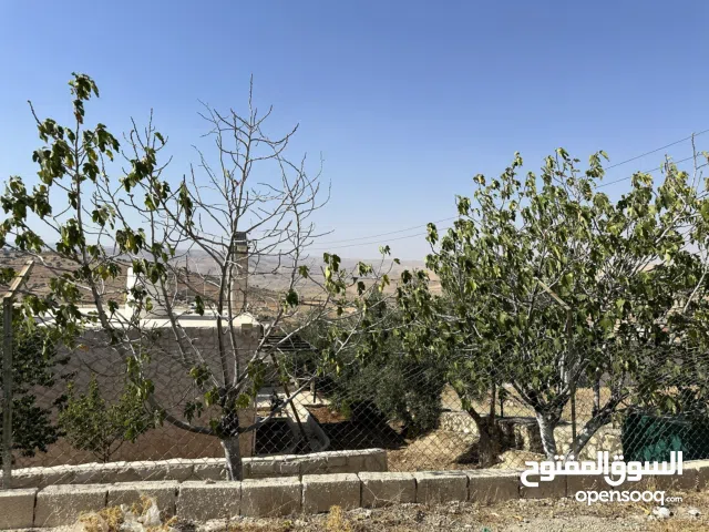 1 Bedroom Farms for Sale in Zarqa Sarout