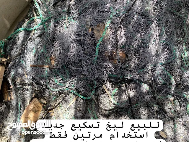 ليخ تسكيع جديد