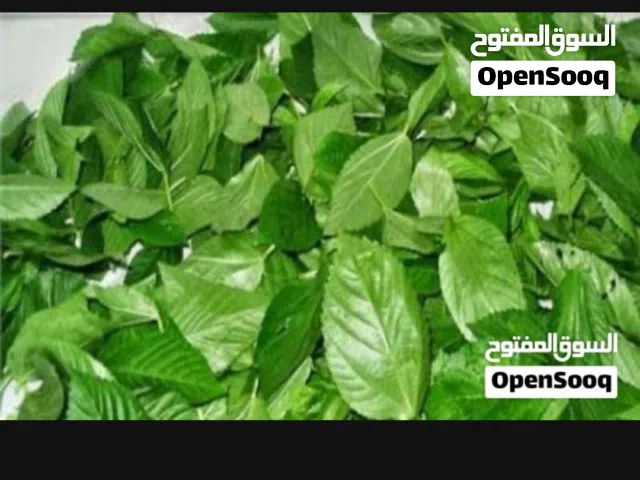 ملوخية مقطفة كوسا محفور