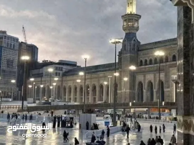 هدى محمود صادق