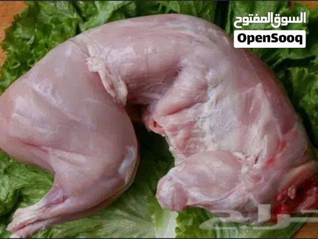 للبيع ارانب مذبوحات