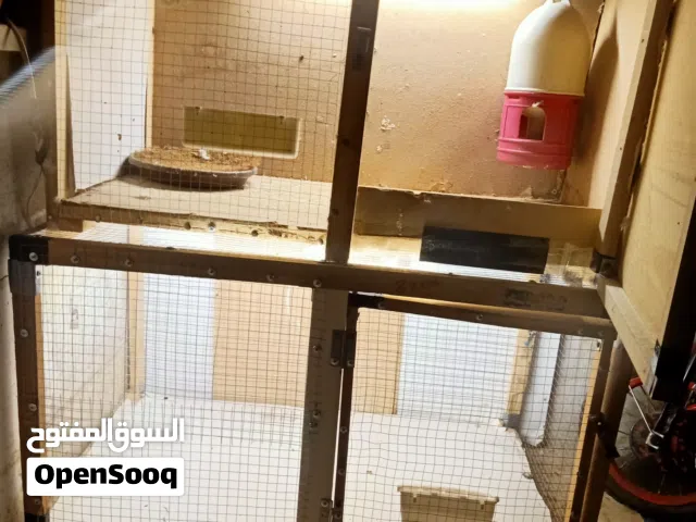 خانتين جداد للبيع