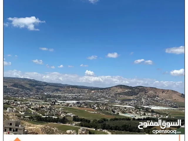 Residential Land for Sale in Amman Abu Nsair