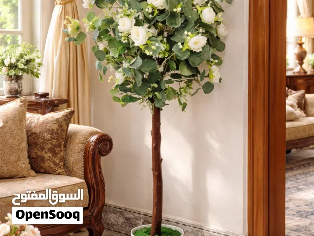 شجره ورد سندان فرفوري الارتفاع تقريبا متر وربع