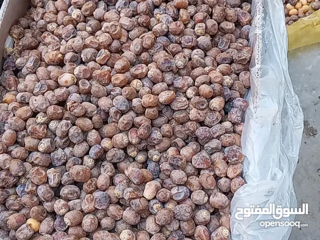 تمر برحي ابى الخصيب نضيف