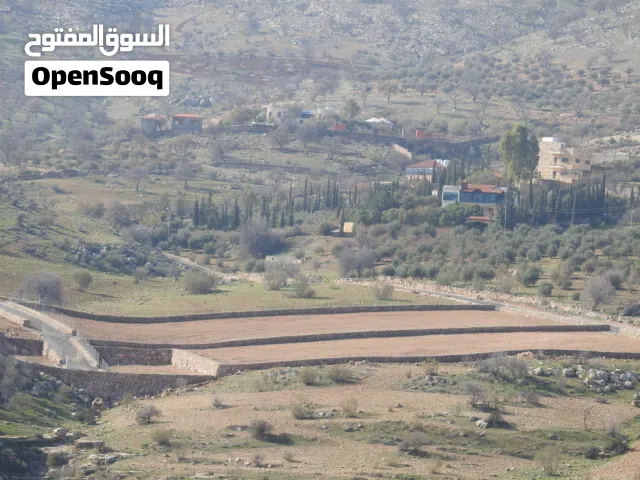 ارض مميزة مستوية على شارعين تصلح لشاليه في صروت بجانب المسرة العالوك 3500م فقط 59000 من المالك