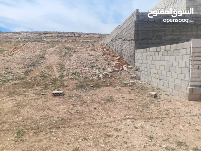 ارض في البيضه