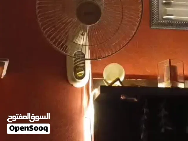 مروحه شغاله فل الفل ودواران فل الفل