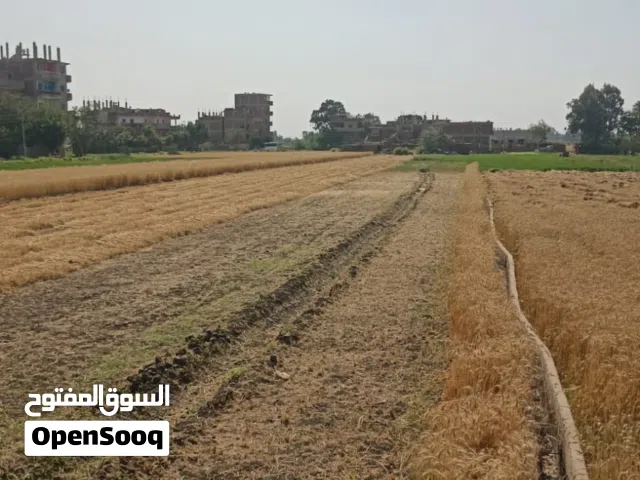 Mixed Use Land for Sale in Dakahlia Mit Ghamr