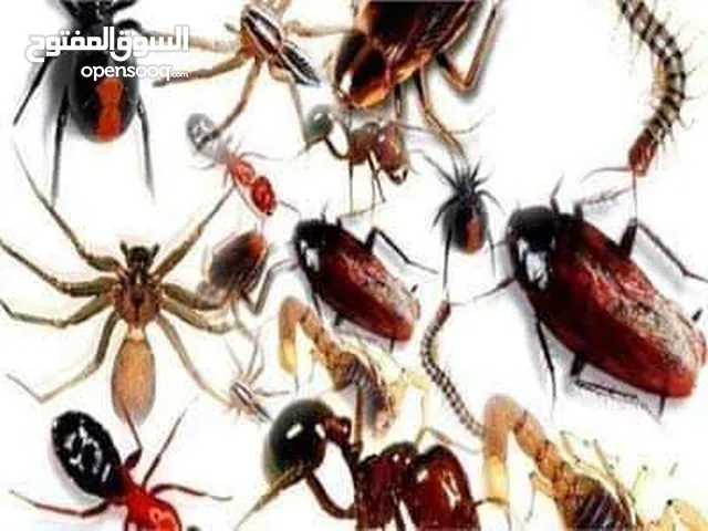 شركه المكافحة