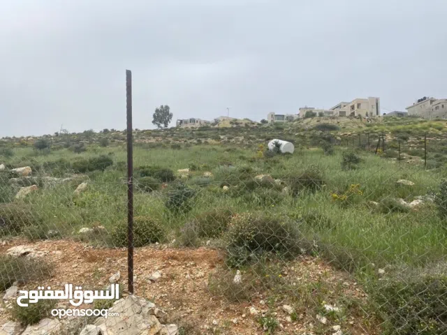 ارض للبيع في المزرعة الغربية - دونم