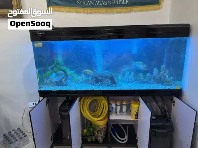حوض سمك جديد مع كامل اغارضه كلشي اصلي وافضل الانواع ومع السمك بمختلف الاحجام شي فـاخـر