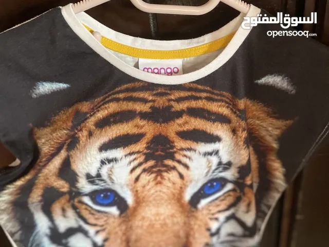 تي شيرت بناتي بصوره اسد من ماركه mango مانجو قياس 12-13. . . .