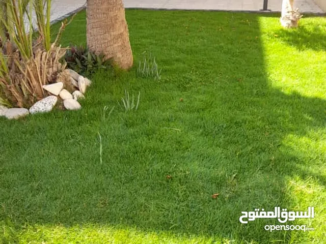 فيلا دورين وبدروم للايجار فالسياحيه.
