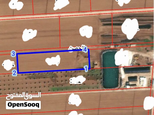 Farm Land for Sale in Irbid Al Husn