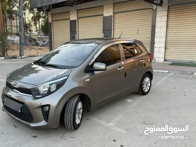 كايا مورنينج