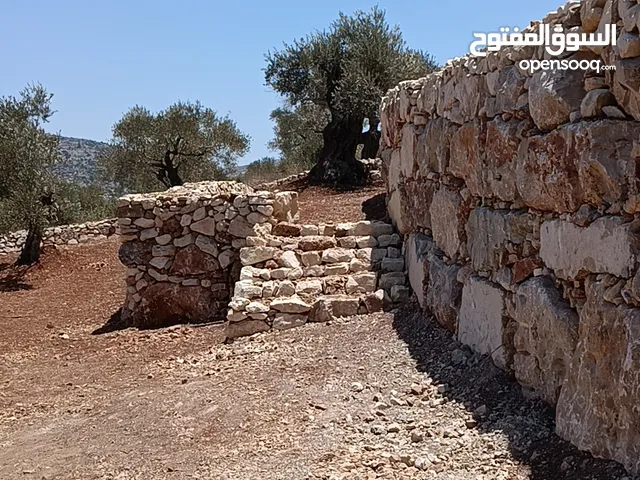 عمارة اراضي وبناء السناسل