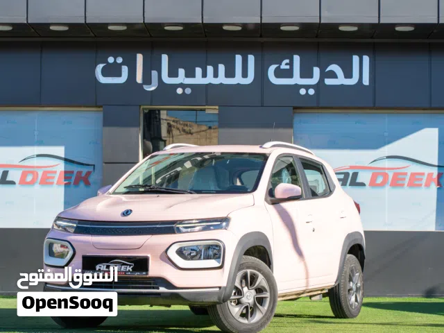2023 Dongfeng EX1