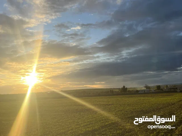 Farm Land for Sale in La Manouba Other