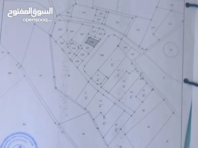 ارض مميزه للبيع في ذيبان