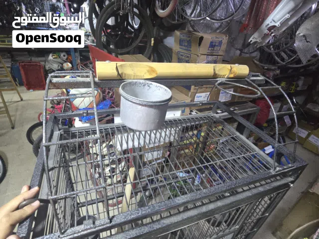 قفص ببغاء حديد تفصيل