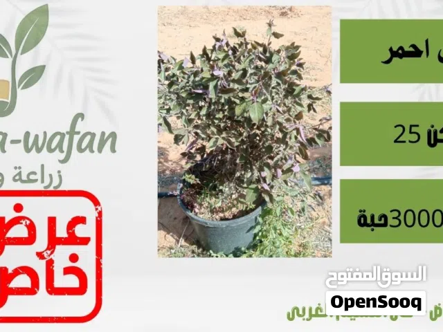 مجموعة من شربسات  المطلوبه بالمشاريع