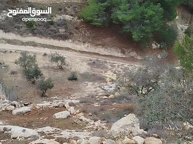 أرض للبيع في الخليل دورا