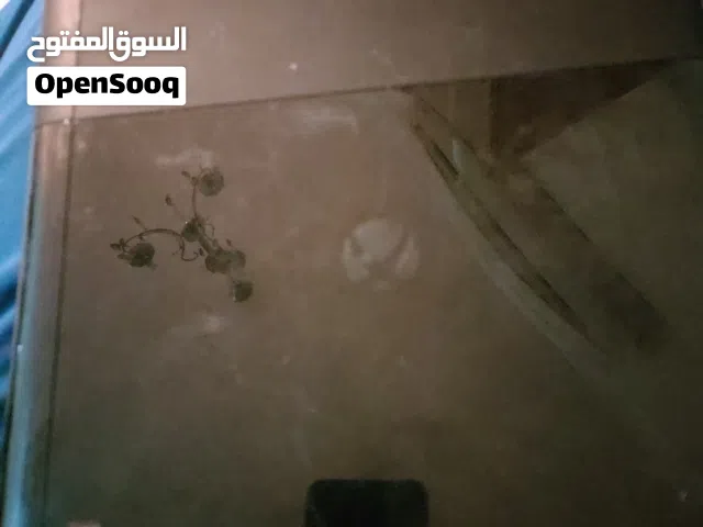 سلام عليكم ورحمة الله وبركاته اكس بوكس للبيع مستعمل السعر خاص مع جهاز