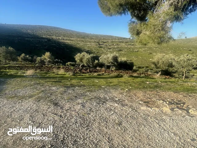 ارض للبيع اراضي جنوب عمان زملة العليا