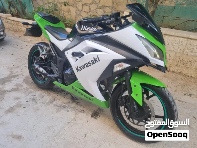 2015 كاواساكي Ninja 300