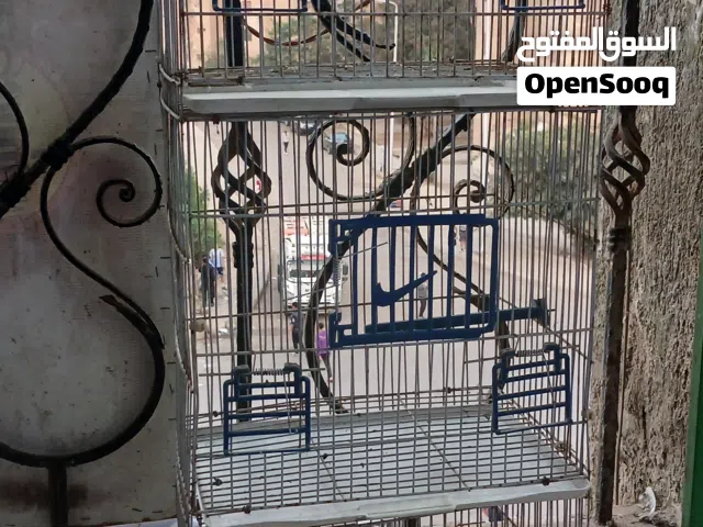 سلاكه استرالي 3 دور