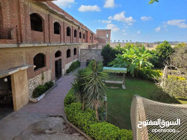 Industrial Land for Sale in Alexandria Amreya