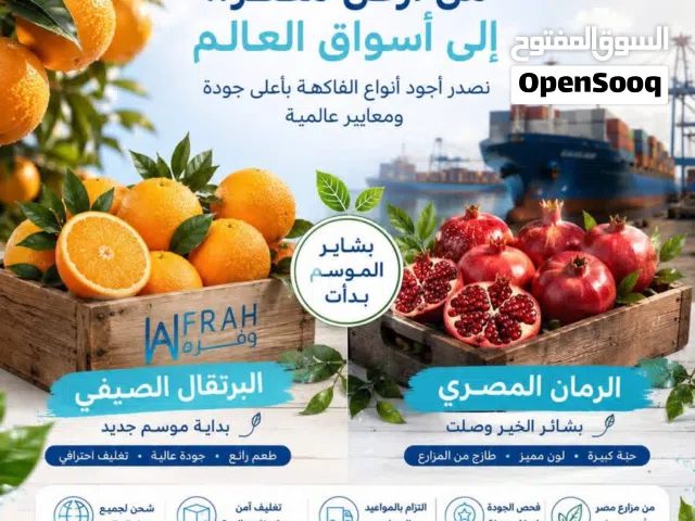 البرتقال & رمان مصري