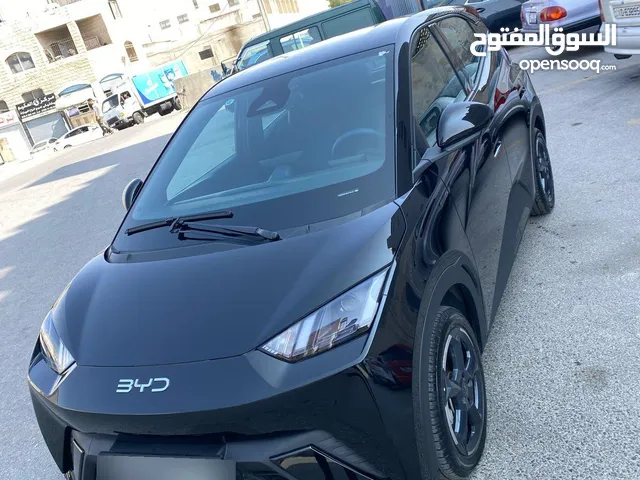 بي واي دي سيجال عداد قليل موديل 2024