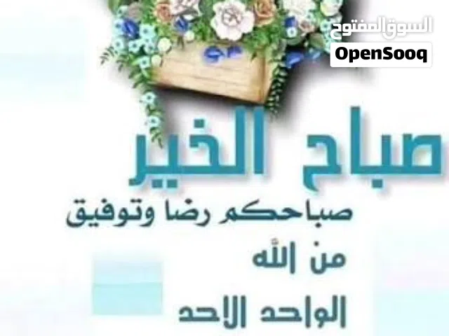 شقة مفروشة للايجار المؤقت بداية من 14\7 الى 30\8 شهر ونص بخيطان ق 8 بجوار لولو هايبر