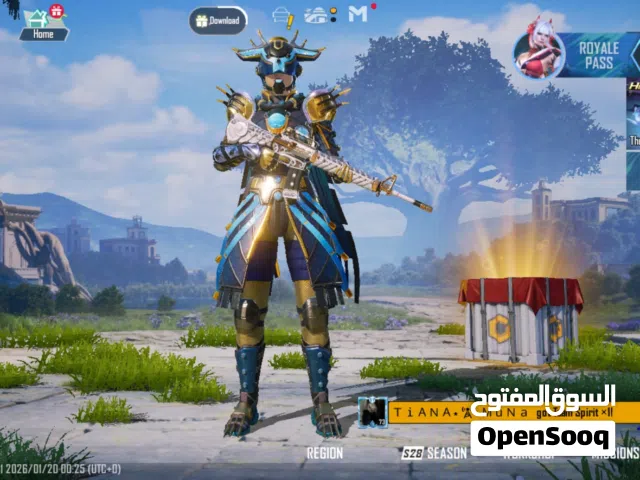 Pubg Mobile Cheapest id , I appreciate your interest, but the price is fixed